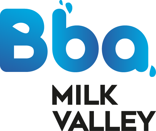 BBA Logo